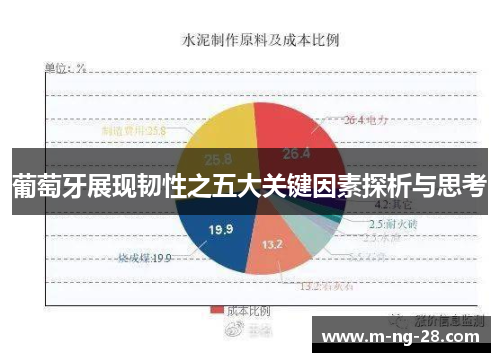 葡萄牙展现韧性之五大关键因素探析与思考