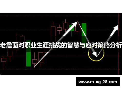 老詹面对职业生涯挑战的智慧与应对策略分析