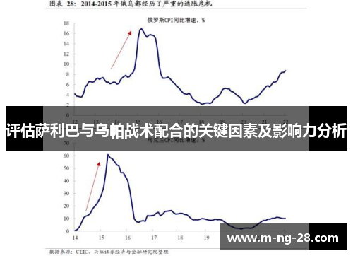 评估萨利巴与乌帕战术配合的关键因素及影响力分析 评估萨利巴与乌帕战术配合的关键因素及影响力分析