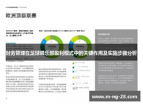 财务管理在足球俱乐部盈利模式中的关键作用及实施步骤分析