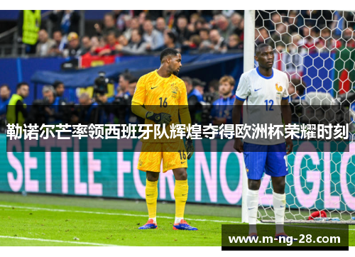 勒诺尔芒率领西班牙队辉煌夺得欧洲杯荣耀时刻