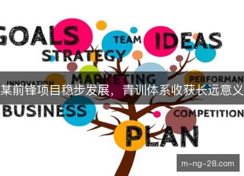 某前锋项目稳步发展，青训体系收获长远意义