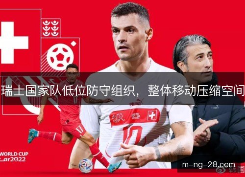 瑞士国家队低位防守组织，整体移动压缩空间