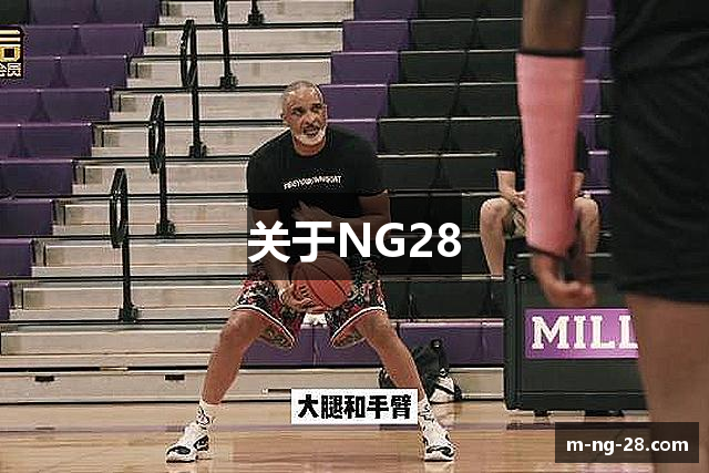 关于NG28